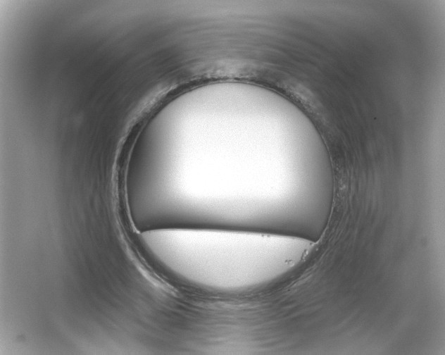 X0000066530678200603171030