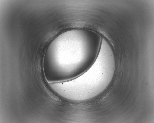 X0000066530681200603171030