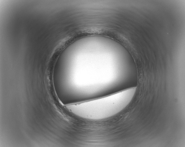 X0000066530688200603171030