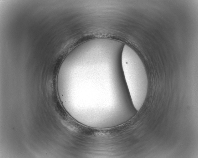 X0000066530690200603171030