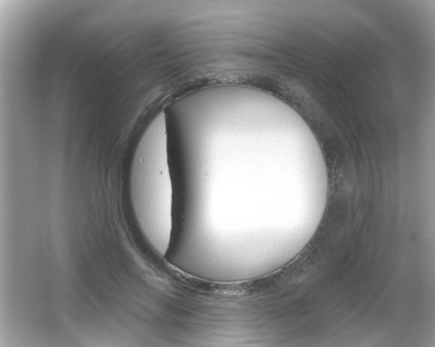 X0000066530694200603171030