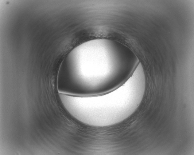X0000066530697200603171029