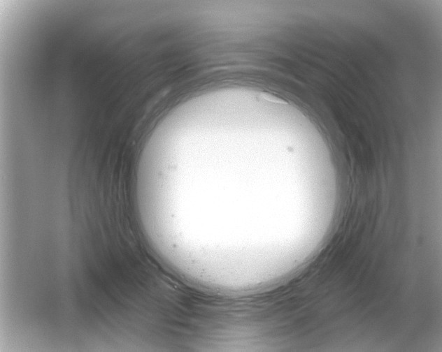 X0000066530701200603171029