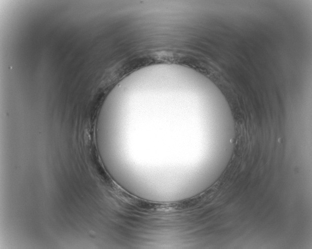 X0000066530702200603171029