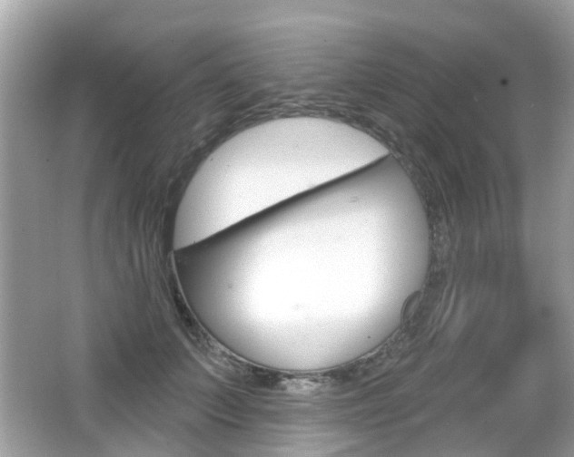 X0000066530703200603171029