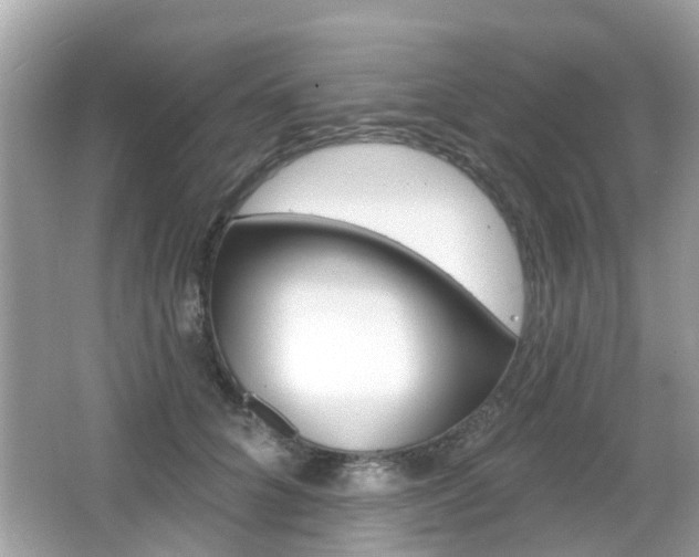 X0000066530704200603171029