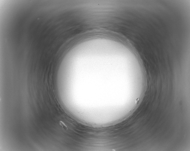 X0000066530705200603171029