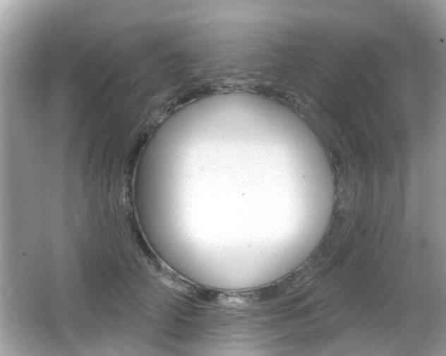 X0000066530706200603171029