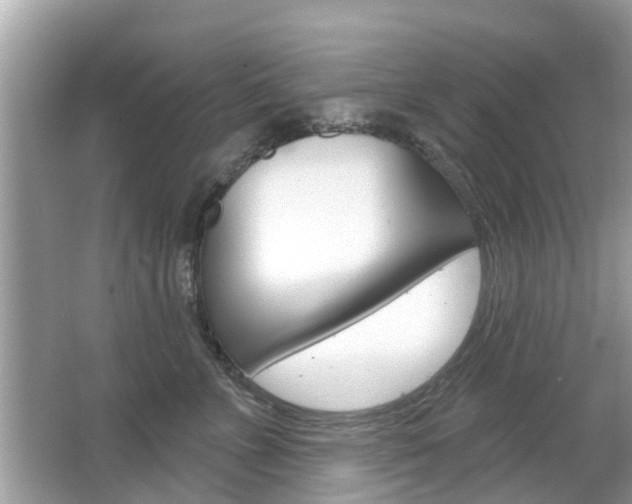 X0000066530715200603171029