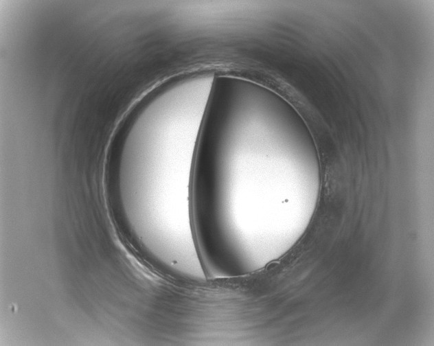 X0000066530722200603171028