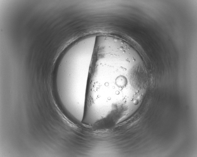 X0000066530725200603171028