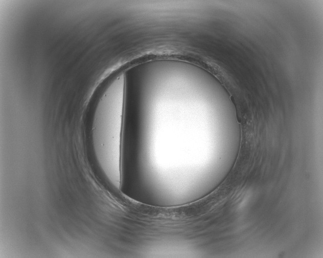 X0000066530727200603171028