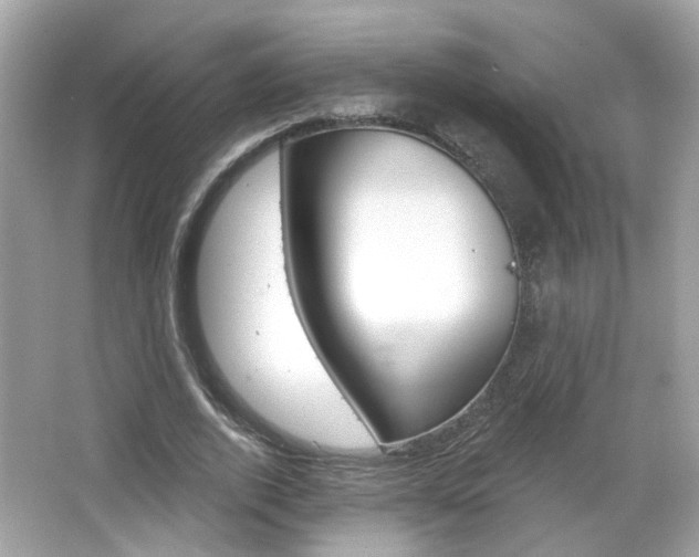 X0000066530728200603171028