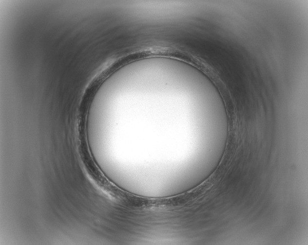 X0000066530730200603171028