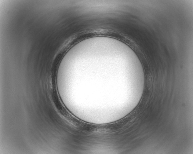 X0000066530734200603171028