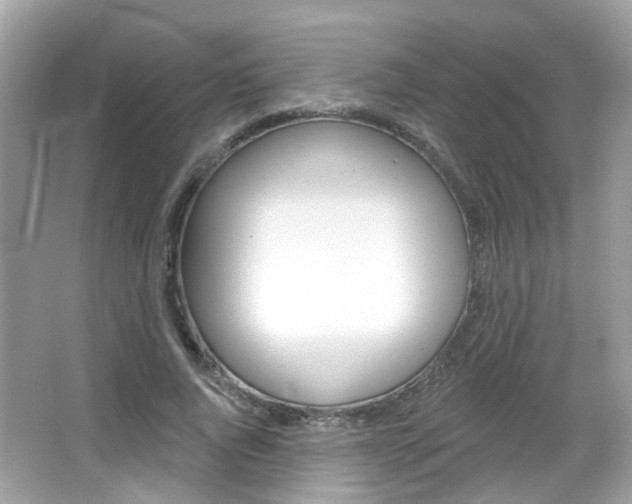 X0000066530736200603171029