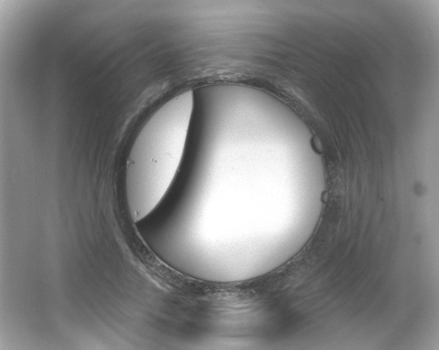 X0000066530738200603171029