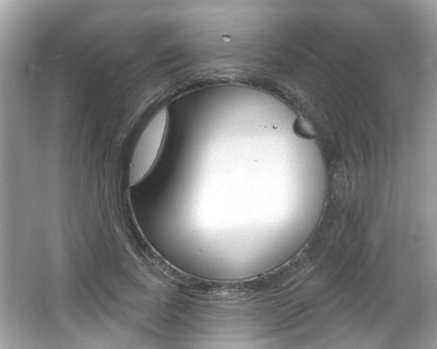 X0000066530739200603171029