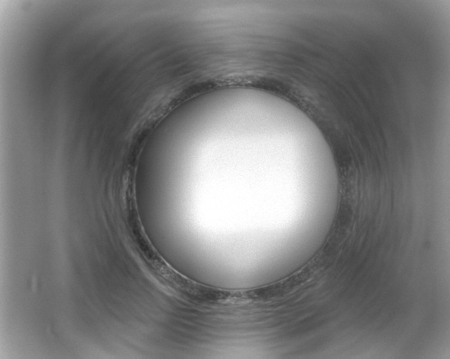 X0000066530742200603171029