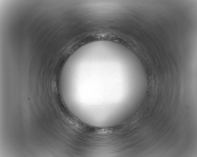 X0000066530754200603171029