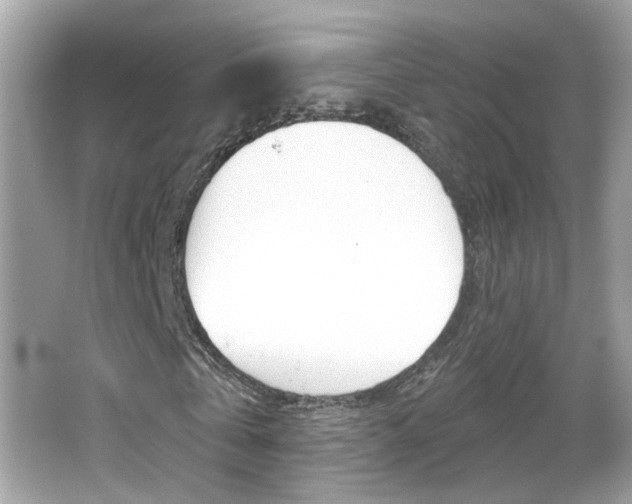 X0000066530769200603171028