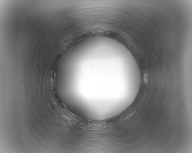 X0000066530771200603171028