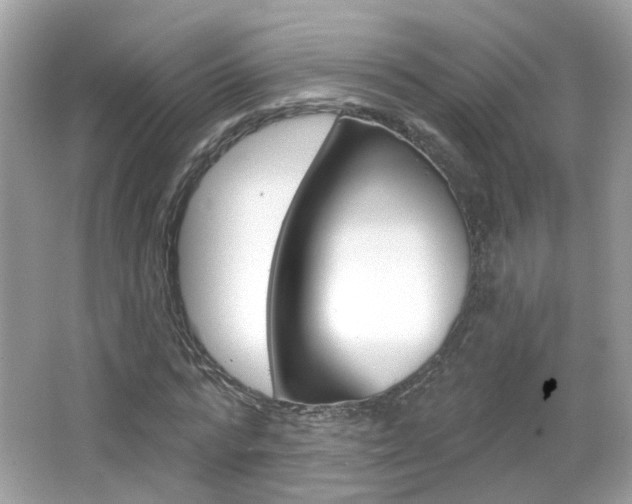 X0000066530776200603171028