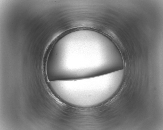 X0000066530780200603171028