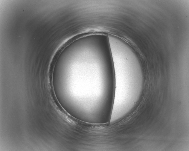 X0000066530784200603171028