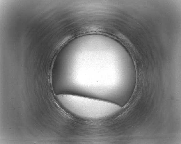 X0000066530785200603171028