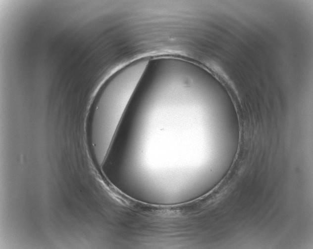 X0000066530789200603171028