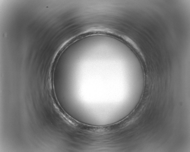 X0000066530791200603171028