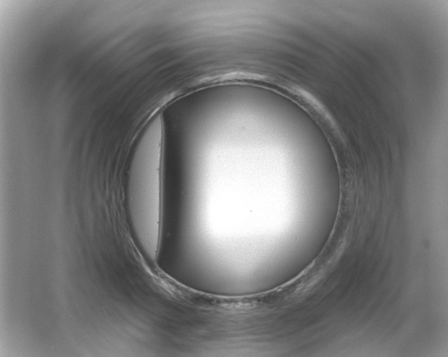 X0000066530793200603171028