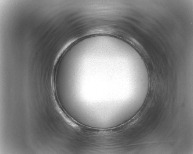 X0000066530796200603171028