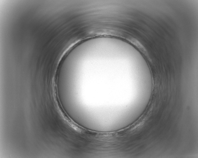 X0000066530798200603171028