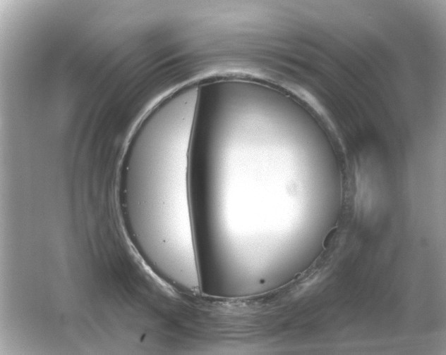 X0000066530799200603171028