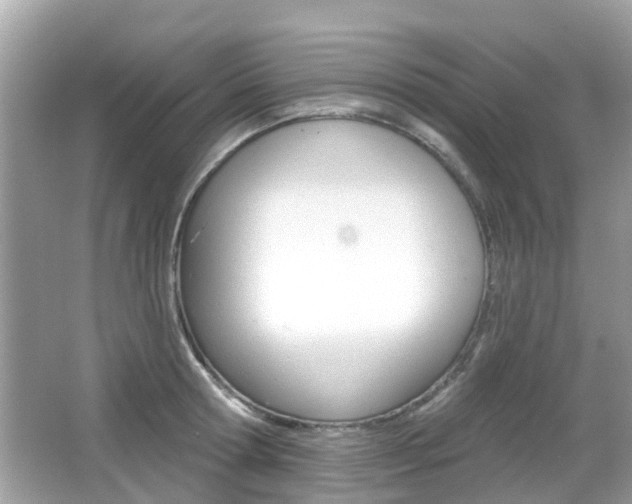 X0000066530802200603171028