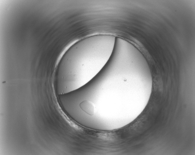 X0000066530804200603171028