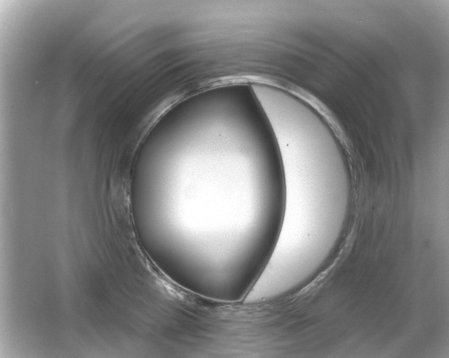 X0000066530809200603171028