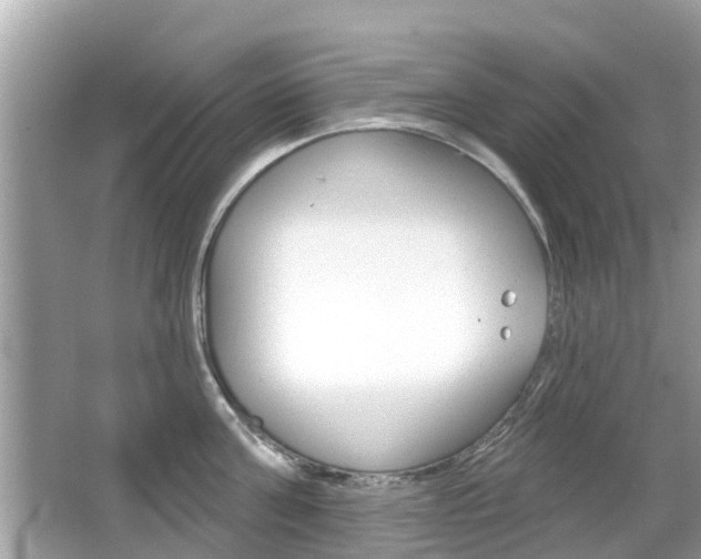 X0000066530811200603171028