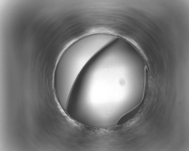 X0000066530815200603171027