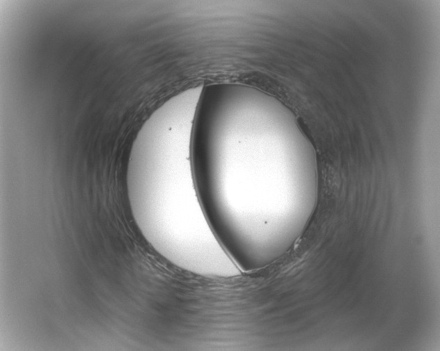 X0000066530818200603171027