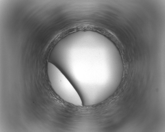 X0000066530823200603171027