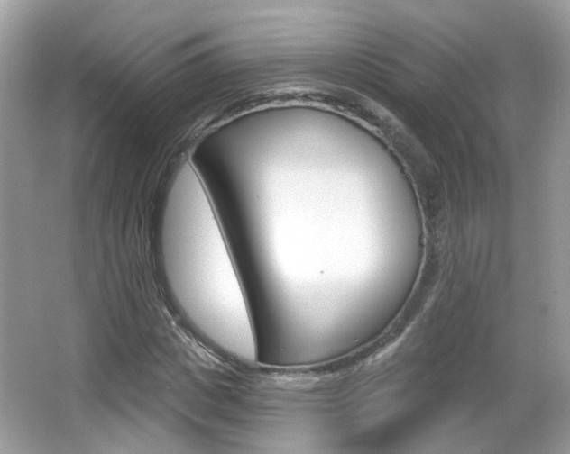 X0000066530825200603171027