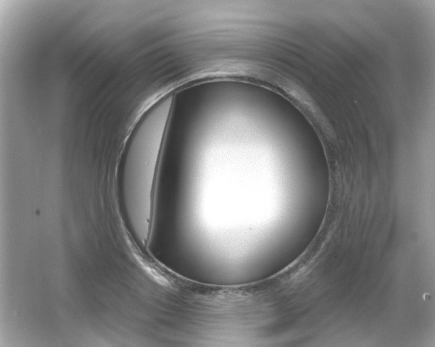 X0000066530842200603171027