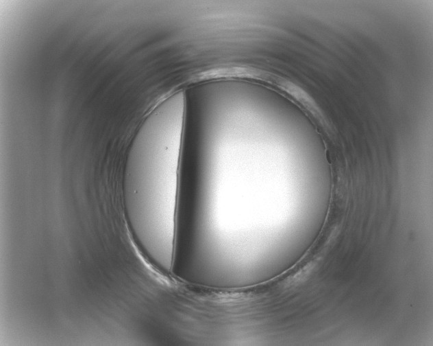 X0000066530849200603171027