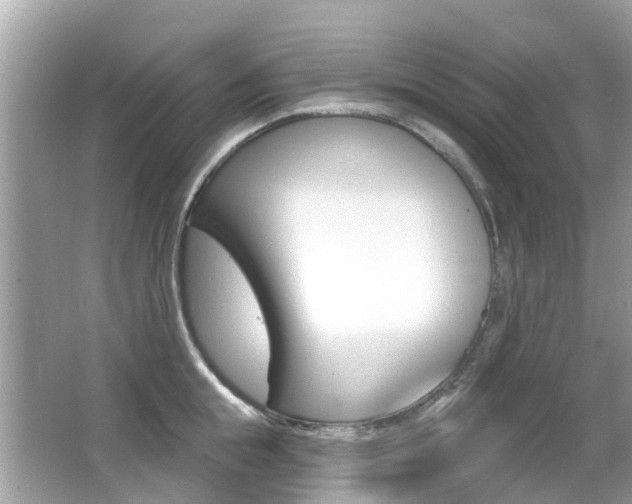 X0000066530855200603171027