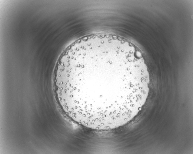 X0000066530856200603171027
