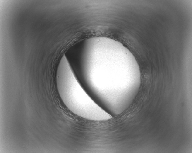 X0000066530865200603171027