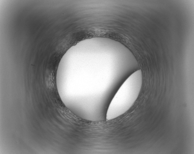 X0000066530866200603171027